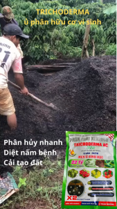 Nấm đối kháng Trichoderma | Ủ phân chuồng xác bã thực vật | Đối kháng nấm bệnh cải tạo đất cần bằng PH (gói 1kg)