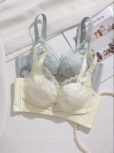 Lace Bra for Small Busts Gathered Breathable Anti-Droop No Steel Ring