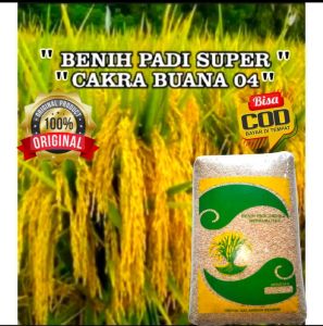 Benih Padi CAKRABUANA 04 SUPER UNGGUL Kemasan 1Kg