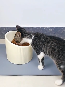 Pet Feeding Mat Silicone Waterproof Solid Color  Easy Washing Pet Food Pad Non-slip Dog Cat Mat Foldable Feeding Tray