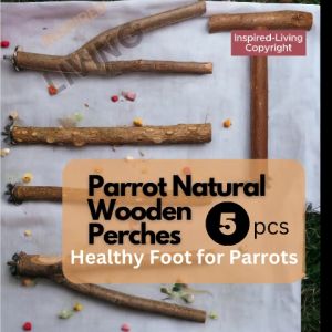 Natural Grapevine Wood Bird Perch Set (2/4/5/6/8pcs) | Irregular Branch Grip | Parrot Cage Perch for Budgie Lovebird Cockatiel Conure | Chew Toy Foot Health Stand