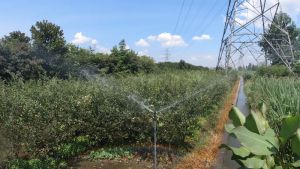 PE323 3/4" MALE SPRINKLER Garden Watering Nozzle Farm Irrigation