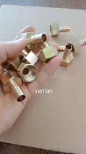 Đầu nối ren trong 21mm đuôi chuột phi 6 8 10 12 14 16 18 20mm