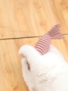 CÁ SỌC CATNIP CÁ NHỒI NHỒI BÔNG ĐỒ CHƠI CHO MÈO THÚ CƯNG NHỎ (KHÔNG KÈN)