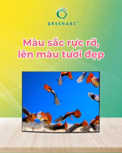 Thức ăn Cá 7 Màu GREENABC - Guppy & Betta – Protein 40% tăng trưởng nhanh lên màu đẹp– Hộp 50g