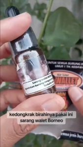 Air Liur Walet Borneo 10ml Suplemen Vitamin penggacor Burung Kicau