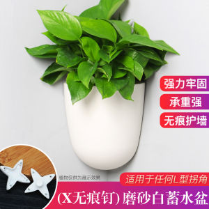 Wall Mounted Hydroponic Plant Pots Plastic Hanging Corner Planters for Lazy People Green Ivy Wall Planters Simple Style Garden
