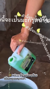 (ซื้อ 1 ฟรี 1) น้ำยาถูพื้น กลิ่นตะไคร้  ไล่ยุง-มด-แมลงตามพื้น พื้นไม่เหนียว เงาสะอาด  ไม่ทิ้งสารเคมีตกค้างบนพื้นบ้าน น้ำยาถูพื้นออร์แกนิค  ขนาด 1 ลิตร
