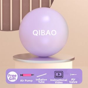 SHENWO | Adult Multi-Function Yoga Ball