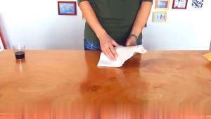 【Free Shipping】Disposable Cat Dog Diaper Bamboo Charcoal Pet Puppy Training Mat Dog Cat Toilet Wee Pad Pet Supplies