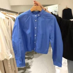 Loose Long Sleeve round Neck Short Casual Shirt Womens Trendy Top Spring 2025 Dongda Gate Style Commute Korean Version