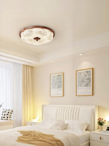 DGY | Retro Circular Ceiling Light for Study and Bedroom