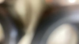 Đai Ốc Tán Keo Chống Trượt Inox 304 M6 M8 M10 M12 M14