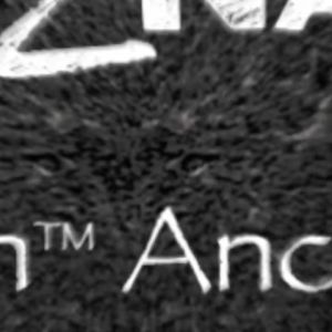 Back2Nature Grain Free Cat Canned Food Wet Food 80g