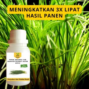 Pupuk Kucai Cepat Berbuah / Pupuk Pelebat Sayur Kucai / Pupuk Booster Kucai Cair