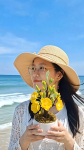 Chậu cây hoa Mai - hoa Đào bằng đất sét 22cm