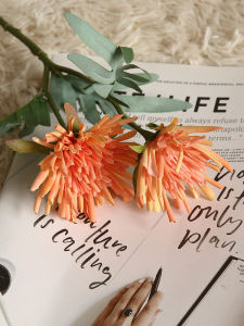 Hoa Giả Hạt Dẻ Trang Trí Hoa Vải Thực Tế Màn Hình Trang Trí Bàn Ăn Phong Cách Bắc Âu Trang Trí Hoa Hoa Hoa Sen