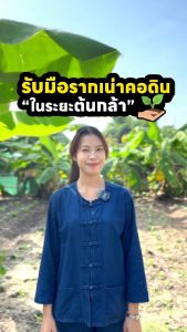 โรคพืช โรคใบไหม้ โรคเน่าคอดิน ราน้ำค้าง วัคซีนพืช ซุปเปอร์ไบโอฟิต ซุปเปอร์ไคโตซานพืช กำจัดโรคพืช พืชทนโรค บำรุงพืช ป้องกันแมลง โรคฟักทอง โรคมะนาว โรคพริก โรคทุเรียน โรคมันสำปะหลังโรคผักสวนครัว คะน้า ผักกาดขาว โรคข้าวโพด โรคนาข้าว
