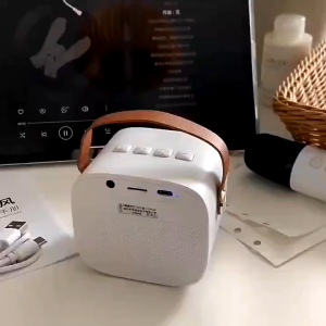 NANATECH Portable Mini Bluetooth Speaker Wireless Karaoke Speaker 3D Stereo with Dual Microphone