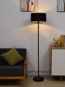 Floor Lamp Creative Nordic Simple Modern LED Lamp Bedroom Internet Celebrity Living Room and Bedside Study Vertical Floor Lamp