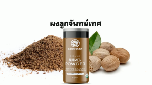 ผงลูกจันทน์เทศ Gourmazia ออร์แกนิก ซีลอน อบแห้งในร่ม กลิ่นหวานอุ่น 100 กรัม