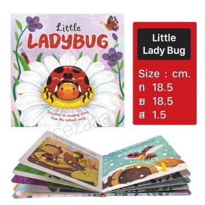 หนังสืออ่านภาษาอังกฤษ ชุดวัฏจักรของสิ่งต่างๆ  the little of a little
