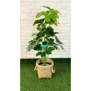 Pohon Artificial Tanaman Hias Daun Walisongo X12 Semilatex Cover Pot Purun Handle Dekorasi Kantor Hiasan Kamar