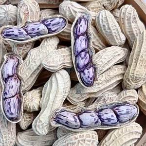 Wet Roasted Salty Crispy Peanuts with Shell