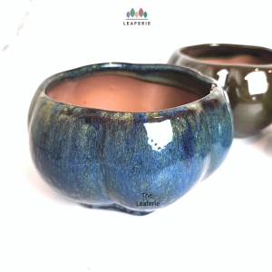 The Leaferie Bonsai (Series 64) plant pots Ceramic flowerpot flowerpots flower pot planter planters