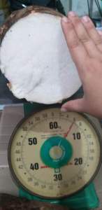 Củ bạc hà núi già lâu năm hàng tuyển 5kg