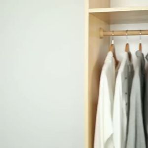 HTW shop Modern Steel Clothes Hanger Hanging (S-Shape) Laundry Tools