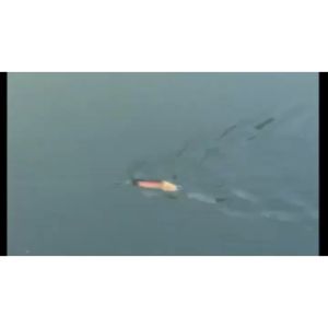 Umpan Pancing Double Kail Atriptime 10cm 13gr Long Tail Murah Awet