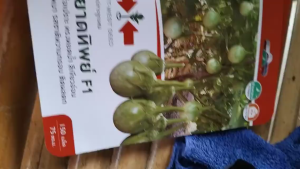 เมล็ดพันธุ์ มะเขือเปราะ ลูกผสม หยาดทิพย์ F1 ทรงหยดน้ำ ทรงผลสวย ปลูกง่าย โตไว ต้นแข็งแรง น้ำหนักดี ผลผลิตสูง ทนทานไวรัส