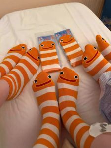 Womens Mid-Calf Sports Socks Thin Summer Cartoon Garden Eel Striped Funny Stripe Moisture Wicking Home Comfort Stockings