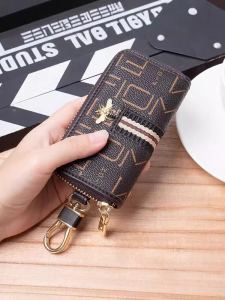 Luxury Large Capacity Womens Key Pouch Card Holder Car Lock Key Fob Multi-Functional Vertical Shape Youth Fashion PVC Material