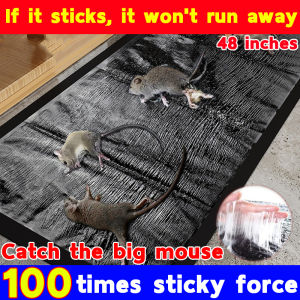 Japan If it sticks it wont run away*Big Size Sticky mouse board1.2meters1piece=8sticky mouse boards Can be cut for use Sticky Rat Trap Strong Sticky Mouse Catcher Rat Snake Bugs Mice Trap Catcher Board Mouse Sticky Board Mouse Trap For Big Rat