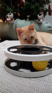 Interactive Cat Ball Spool Toy - Spinning Teasing Chasing Rolling Fun.!