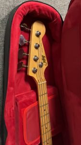 ESTER กระเป๋าเบส Bass soft case