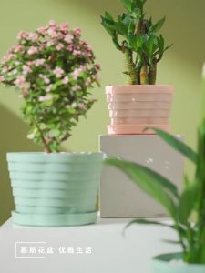 Simple Nordic Breathable Thickened Resin Plastic Flower Pot With Tray Home Gardening Planting Pot With Tray