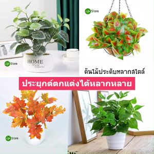 ต้นไม้ประดับหลากสไตล์หลายชนิดรุ่นJC-01 ต้นไม้ประดิษฐ์ สวยงามเสมือนจริง(พร้อมส่งในไทย ถึงเร็วทันใจ)