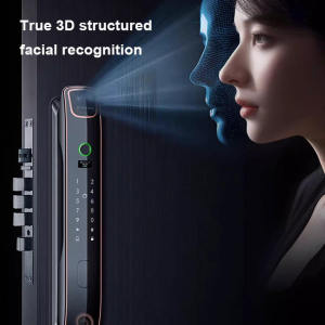 3D facial recognition Smart door lock main door Biometrics door knob Automatic door lock system With camera Fingerprint IC card Password Key With lock body Electronic door lock main door