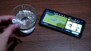 PAVAREAL Pro 2 TWS Bluetooth Earphones with Microphone