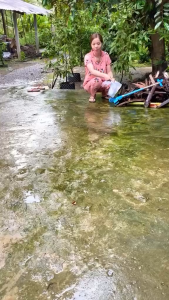 Tặng 2 Đôi Bao Tay Bột Tẩy Rong Rêu Trên Nền Xi Măng Sân Gạch Vỉa Hè Bột Diệt Tẩy Mốc Trần Và Tường Nhà Hiệu Quả