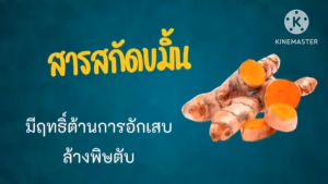 Get Drink DaZe ชลอวัย Anti aging ขับถ่าย ตับ ฟื้นฟูร่างกาย ขัยสารพฺิษ Detox ดาเซ่ ดร.พล