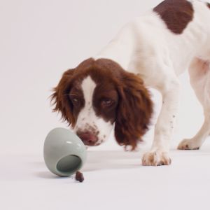 BECO Boredom Buster Enrichment Toy for Dogs