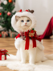 hipidog | Hair Loss Prevention Cat Cloak