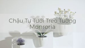 Chậu tự tưới treo tường MONROVIA trang trí trong nhà ban công tiện lợi sang trọng tiêu chuẩn châu Âu