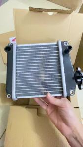 Két tản nhiệt xe Lead 110 (2010-2013)