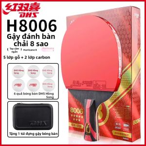 DHS | Vợt Bóng Bàn Chuyên Nghiệp 3-9 Sao Công Suất Mạnh
