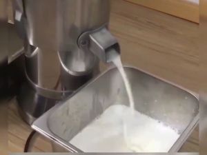 Phlinice 125 Type Pulp Separation Beating Machine: A Versatile Household & Commercial Soymilk Machine